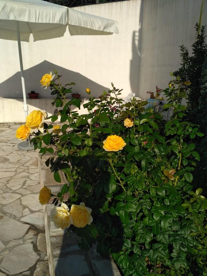 Villa Maria Apartments Kamenari Esterno foto
